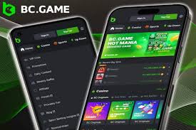 Everything You Need to Know About BC.Game NG Login Everything You Need to Know About BC.Game NG Login